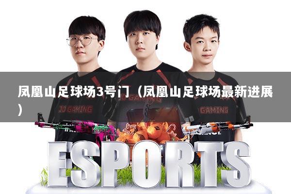 凤凰山足球场3号门(凤凰山足球场最新进展)