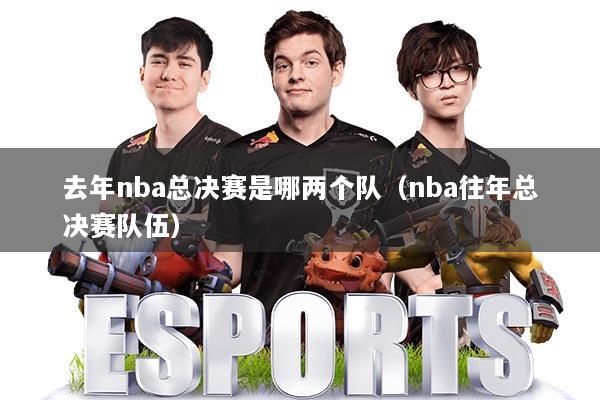 去年nba总决赛是哪两个队（nba往年总决赛队伍）