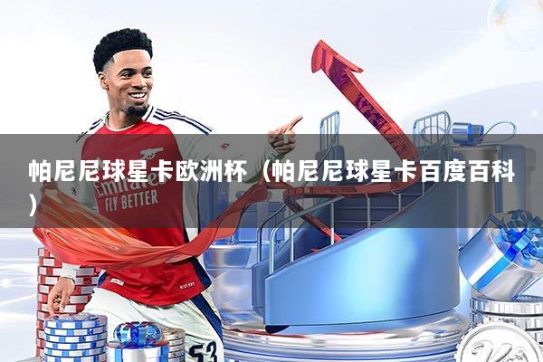 帕尼尼球星卡欧洲杯（帕尼尼球星卡百度百科）