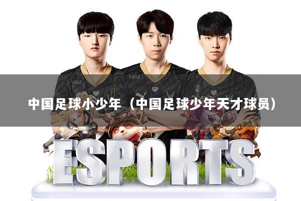 中国足球小少年(中国足球少年天才球员)