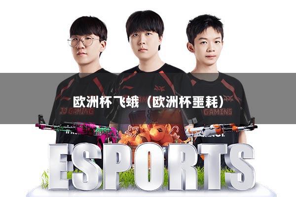 欧洲杯飞蛾（欧洲杯噩耗）