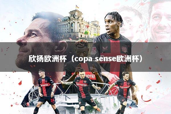 详细阅读:欣扬欧洲杯(copa sense欧洲杯) 欣扬欧洲杯(copa sense欧洲杯)