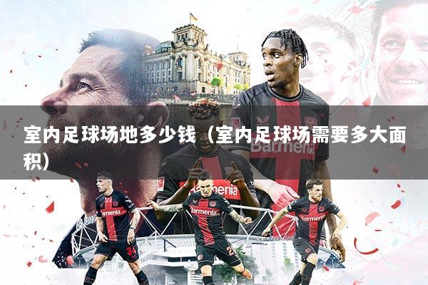室内足球场地多少钱（室内足球场需要多大面积）