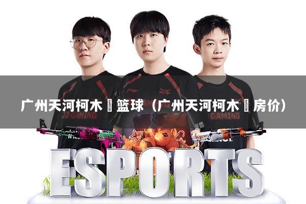 广州天河柯木塱篮球（广州天河柯木塱房价）