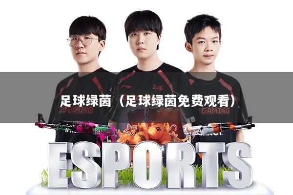 足球绿茵（足球绿茵免费观看）