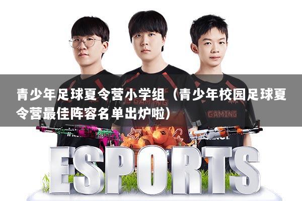 青少年足球夏令营小学组（青少年校园足球夏令营最佳阵容名单出炉啦）