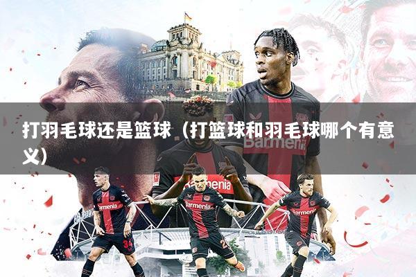 打羽毛球还是篮球（打篮球和羽毛球哪个有意义）