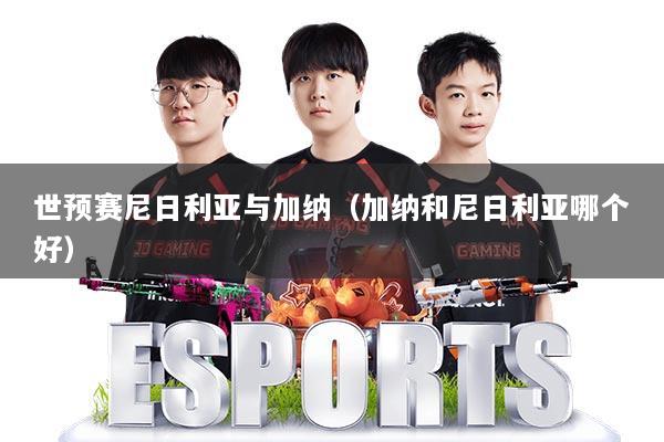 世预赛尼日利亚与加纳（加纳和尼日利亚哪个好）